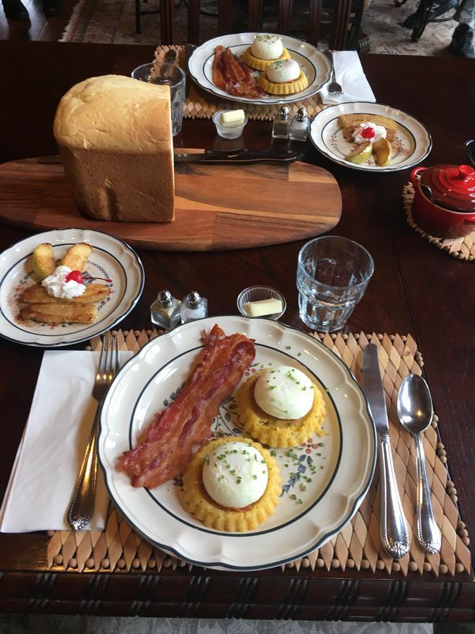 Elkwood Manor Bed & Breakfast 帕戈萨斯普林斯 外观 照片